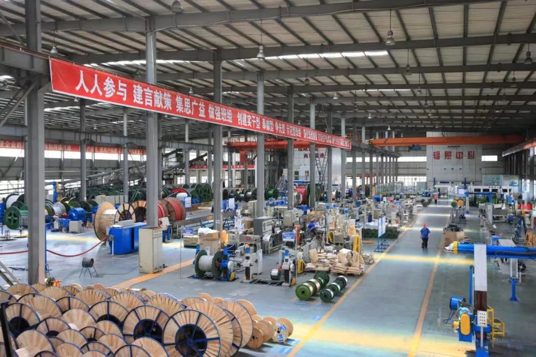 1697507335783393.jpg 5.jpg